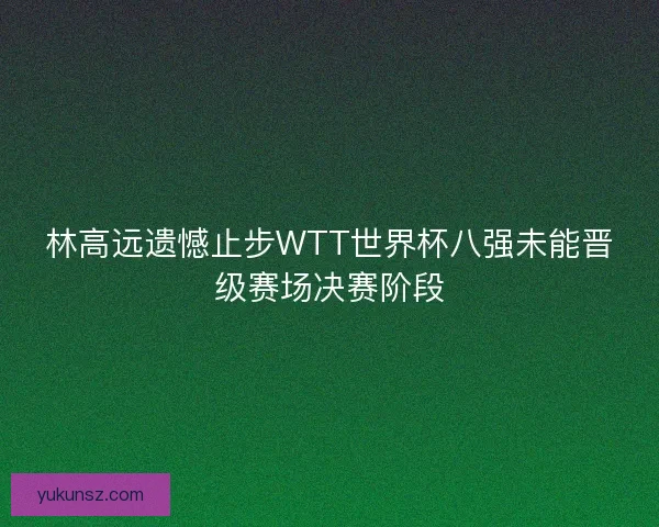 林高远遗憾止步WTT世界杯八强未能晋级赛场决赛阶段