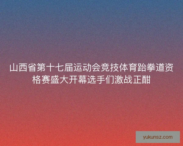 山西省第十七届运动会竞技体育跆拳道资格赛盛大开幕选手们激战正酣