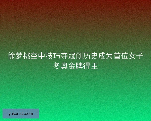 徐梦桃空中技巧夺冠创历史成为首位女子冬奥金牌得主