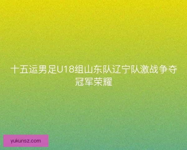 十五运男足U18组山东队辽宁队激战争夺冠军荣耀